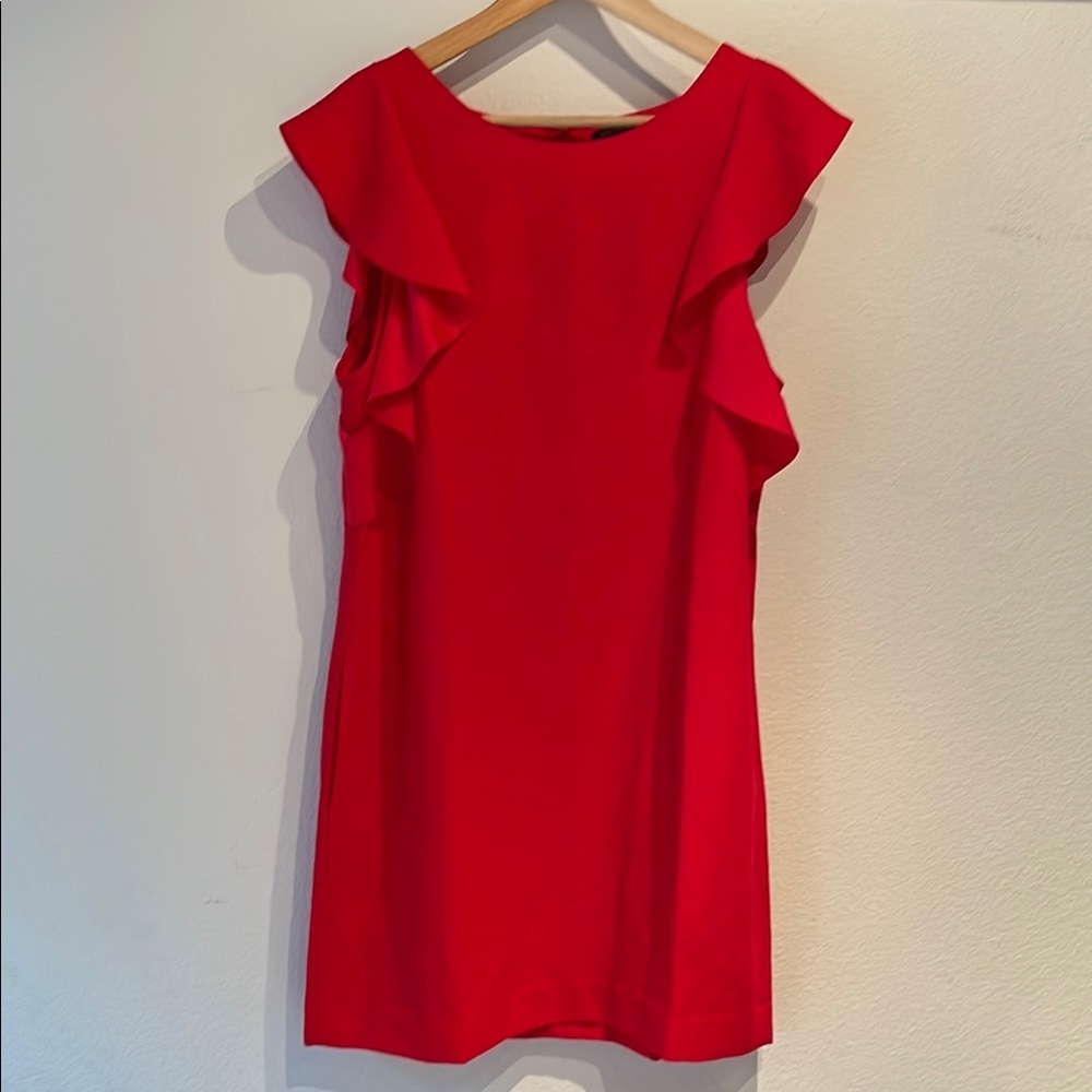 Banana Republic Red Ruffle Sleeve Mini Dress